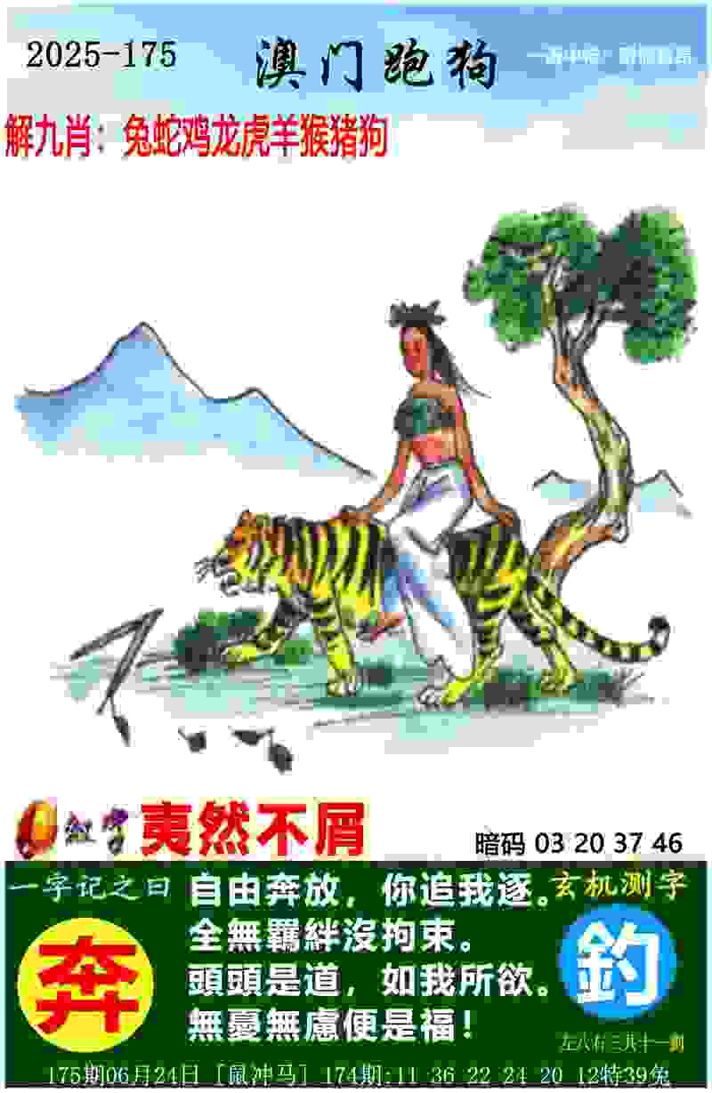 没有裁判胜负选手自己认定 业余网球赛在合肥诚信收拍